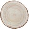 Vintiquewise Barky Natural Wood Slabs Rustic Ornament Slice Tray Table Charger - 10 Inch Dia QI003847-10 - alternate 4